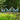garden art Eclectic Treasures Art Crafts and Gifts