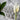 Angel Pocket Charms Bulk 50 Piece - Eclectic Treasures