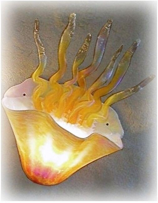 Jellyfish Wall Sconce Blown Art Glass‎ in Amber - Eclectic Treasures